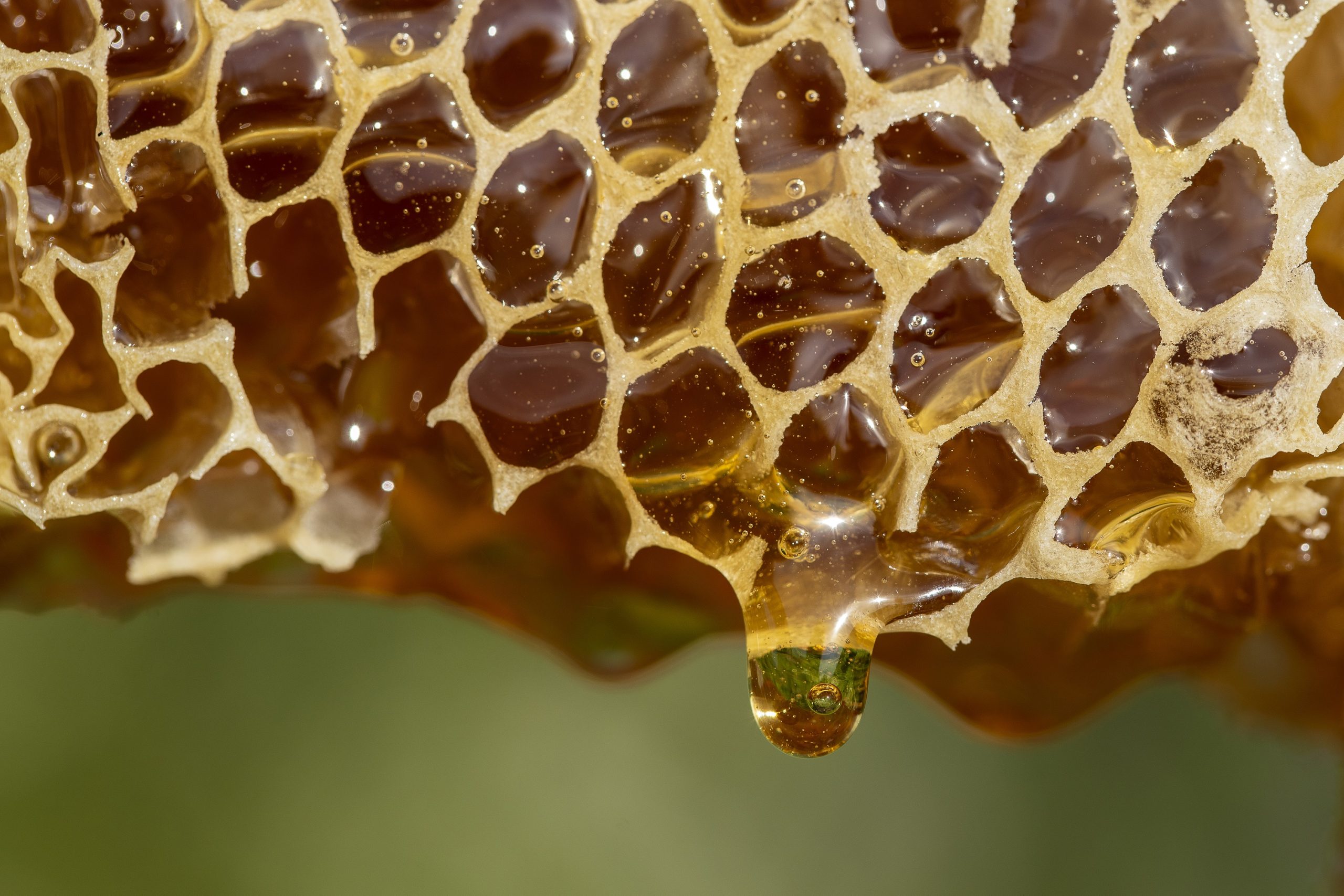Méz: cukorban gazdag, vízben szegény elegy a méhek által készített édesség, mely még kissé savas is. Ideális keverék, mely magában hordozza a korábban már említett cukor és ecet tulajdonságait, miközben a minőségromlásért sokszor felelős nedvesség alig található meg benne