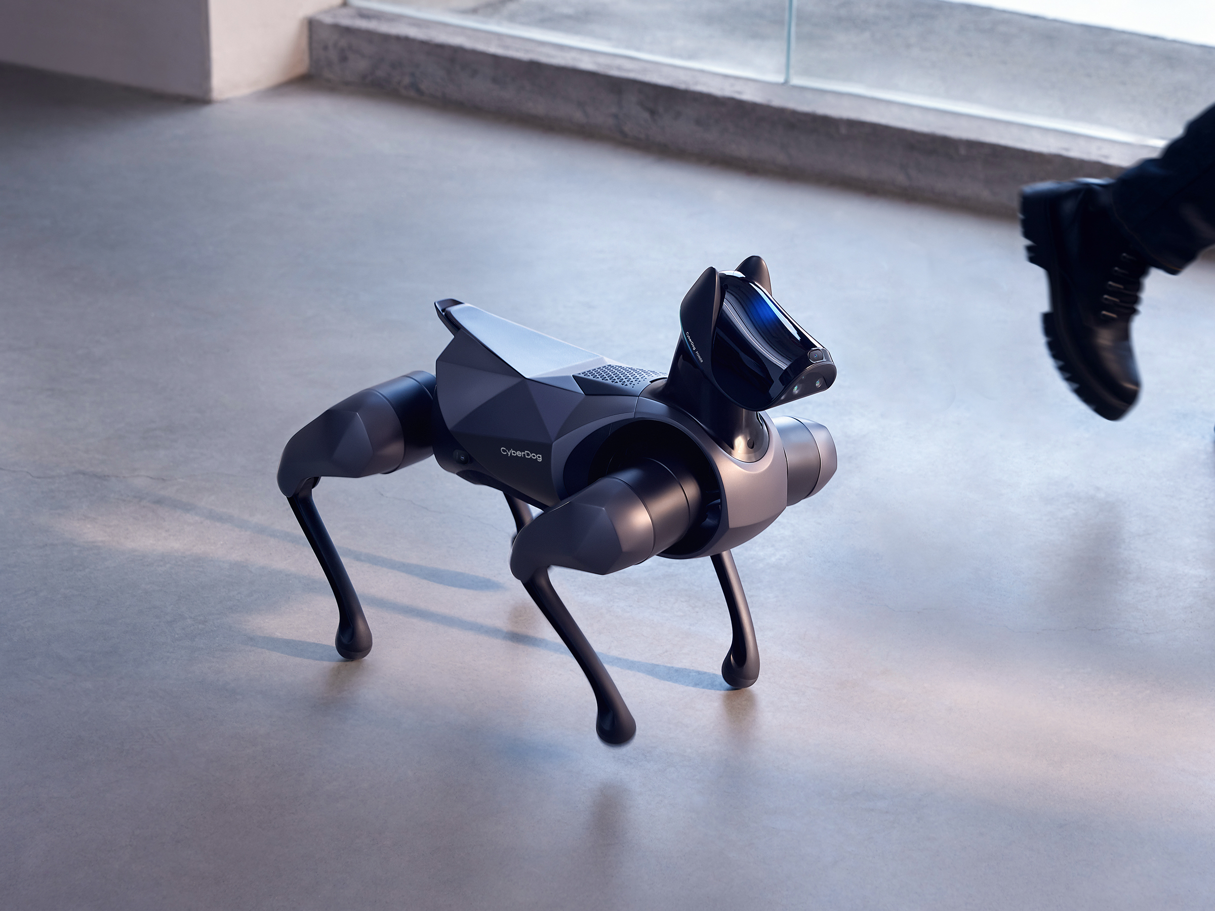 Itt a robotkutya, amit tényleg házikedvencnek terveztek
