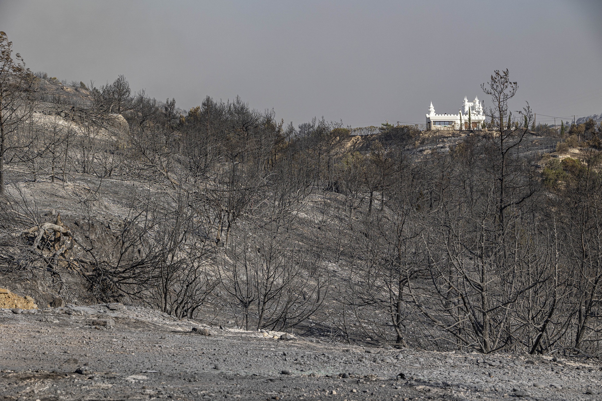 Életkép Rodoszról 2023 júliusából, egy erdőtűz után (Kép: STR/NurPhoto via Getty Images)