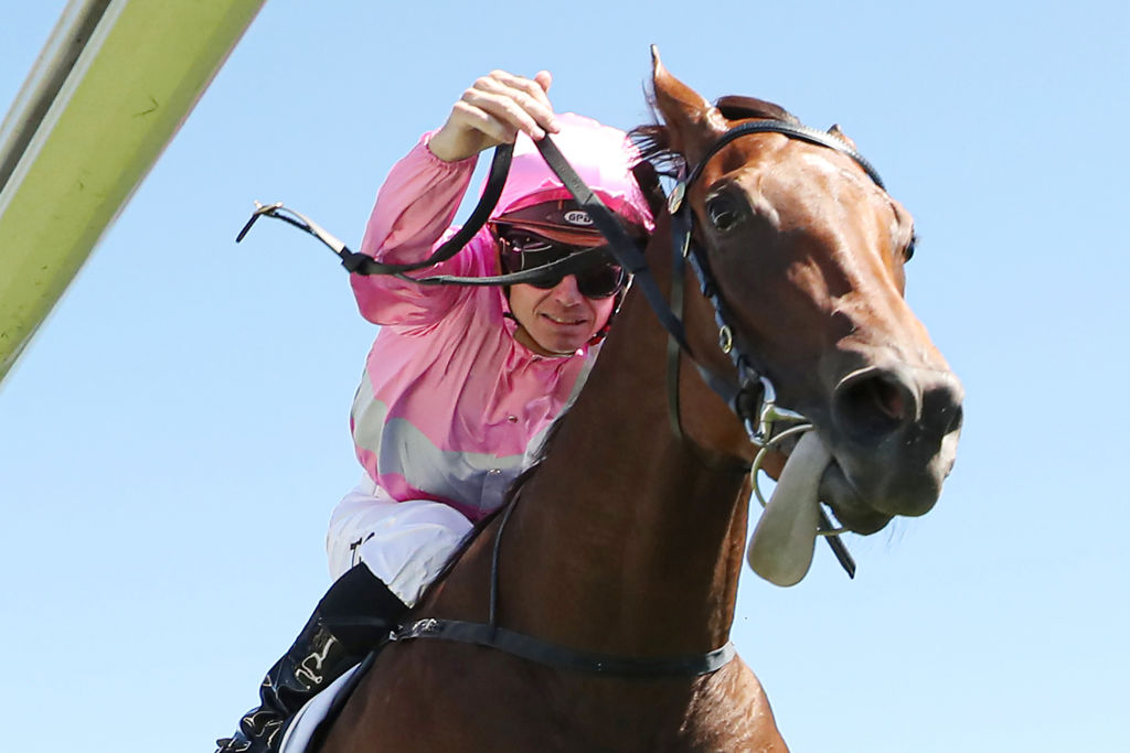 SYDNEY, AUSTRALIA - MARCH 09: (EDITOR'S NOTE: Alternate crop.) Tim Clark riding Too Darn Lizzie rides in Race 2 Yarraman Park Reisling Stakes during "The Agency Randwick Guineas Day" - Sydney Racing at Royal Randwick Racecourse on March 09, 2024 in Sydney, Australia. (Photo by Jeremy Ng/Getty Images)