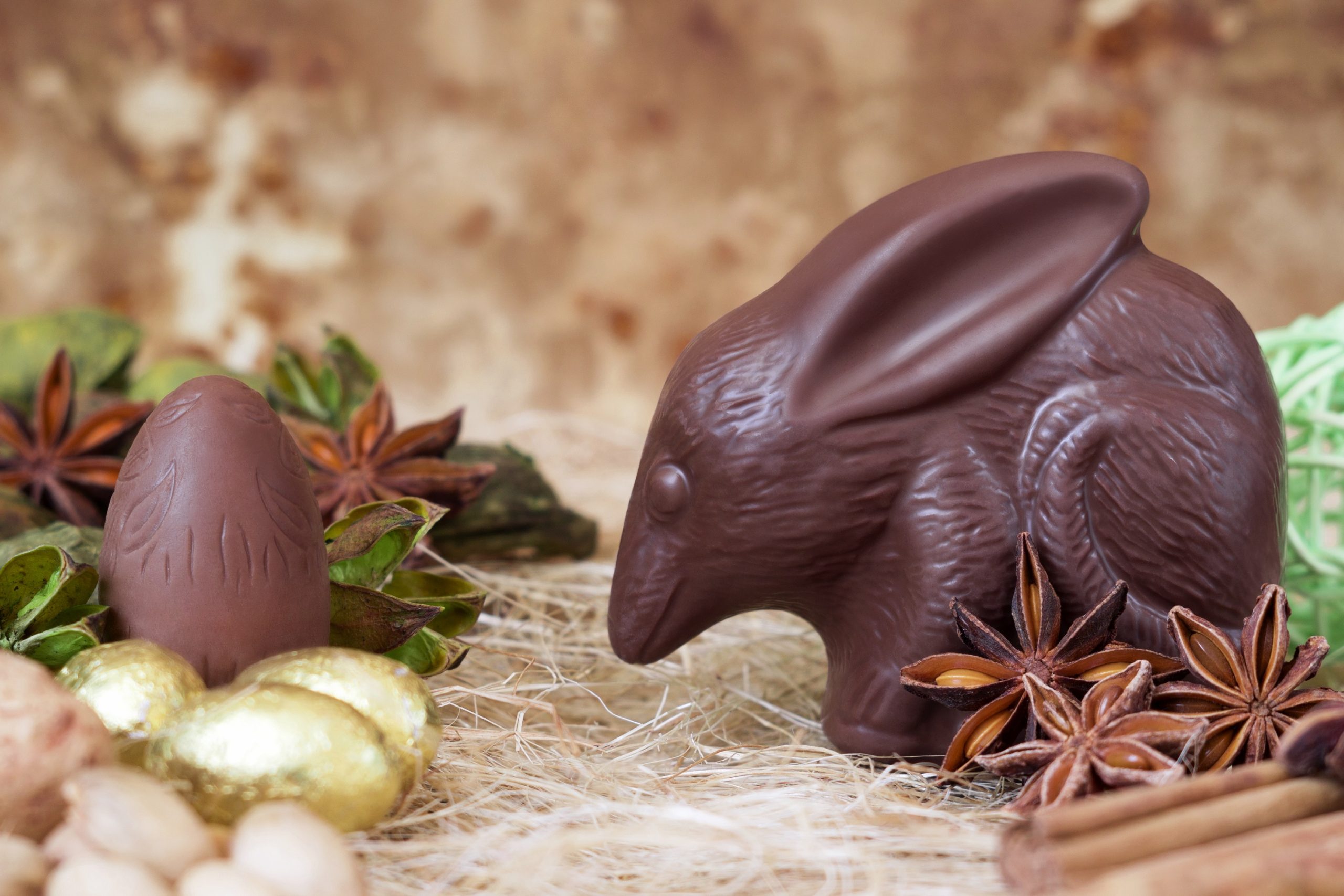 Ausztráliában nincsenek csokinyuszik, legalábbis biztosan nem olyan divatosak mint a csokiból készült erszényesnyulak. A különleges formájú édesség nemcsak felhívja a figyelmet arra, hogy a védett állat egyedeinek száma folyamatosan csökken, de minden egyes ilyen csoki megvásárlásával a megmentésüket támogatják az ausztrálok (Kép: Getty Images)