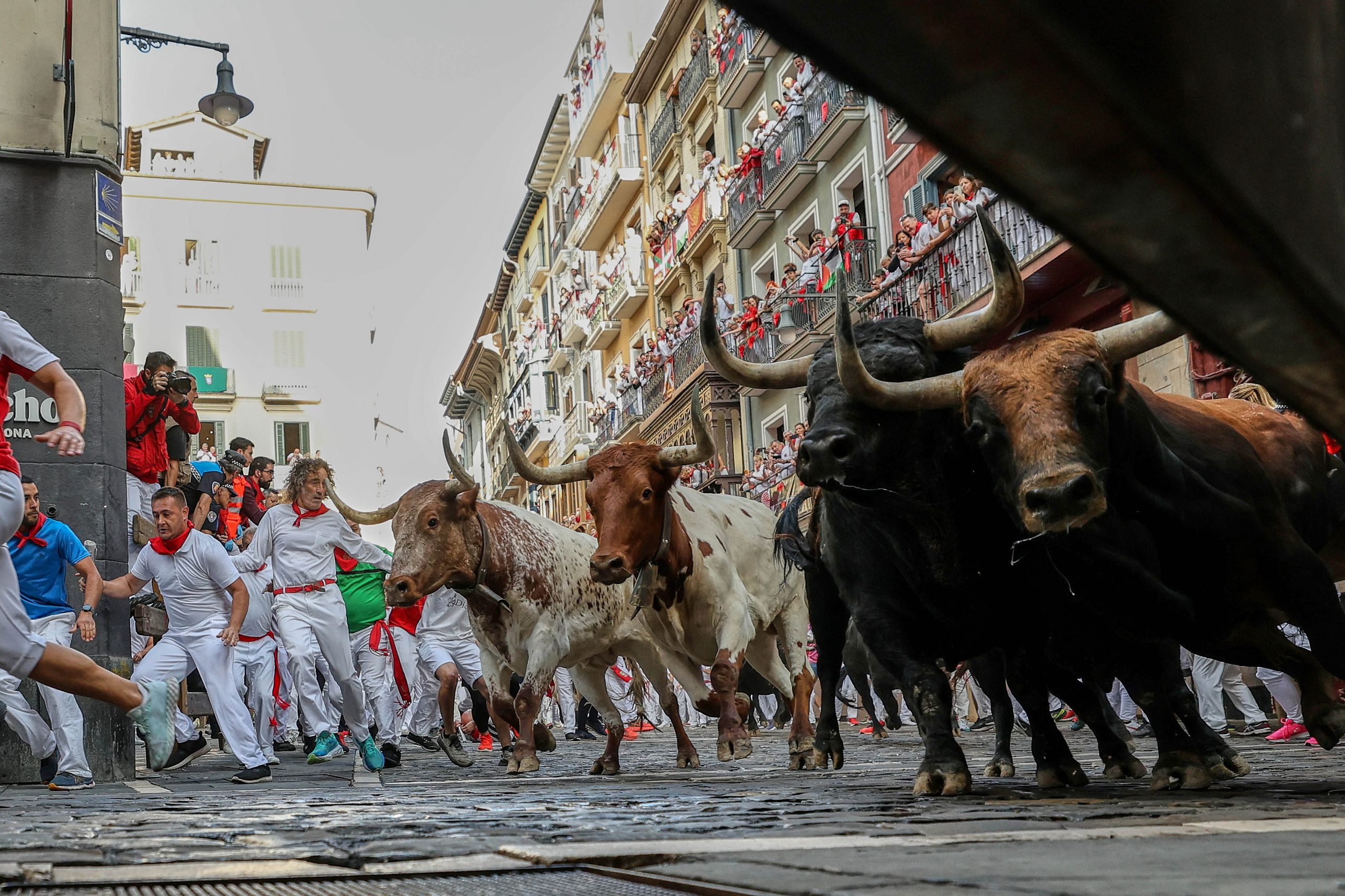 Fotó: Getty Images/Fernando Pidal/SOPA Images/LightRocket