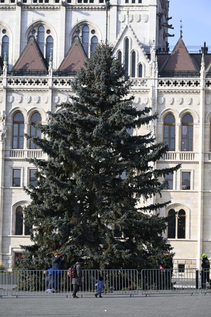 Szívszorító az Ország Karácsonyfájának története