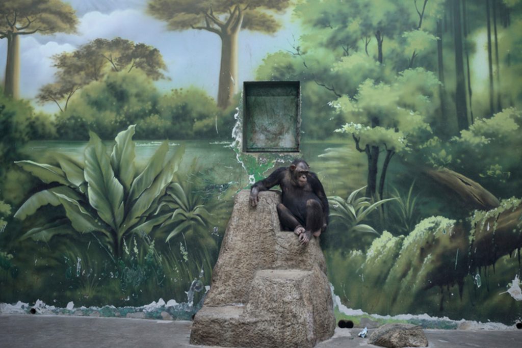 A The Anthropocene Illusion sorozat egyik felvétele látható a képen, ami remekül tükrözi a fotós látásmódját a témával kapcsolatban.