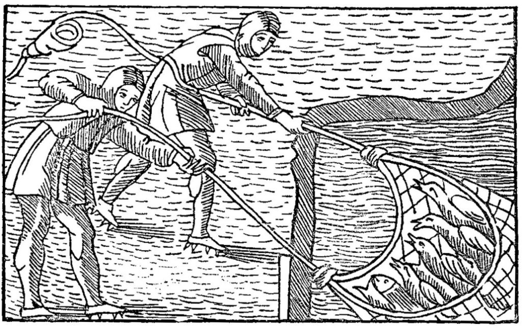 Fecskéket halászó emberek egy 1555-ös metszeten. Olaus Magnus svéd érsek egy 16. századi művében arról írt, hogy a fecskék ősszel hatalmas tömegben gyűlnek össze és a vízbe süllyedve, szardíniaként tömörülnek - Fotó: Wikipédia