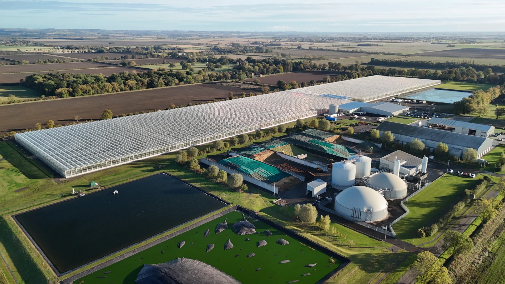 Akár egy műtő olyan modern eperfarm épül Angliában