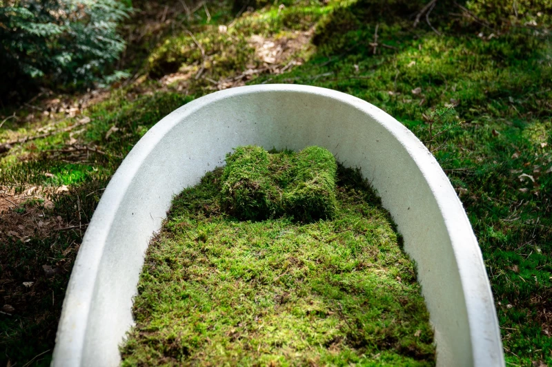 Élő koporsót növesztettek holland mérnökök