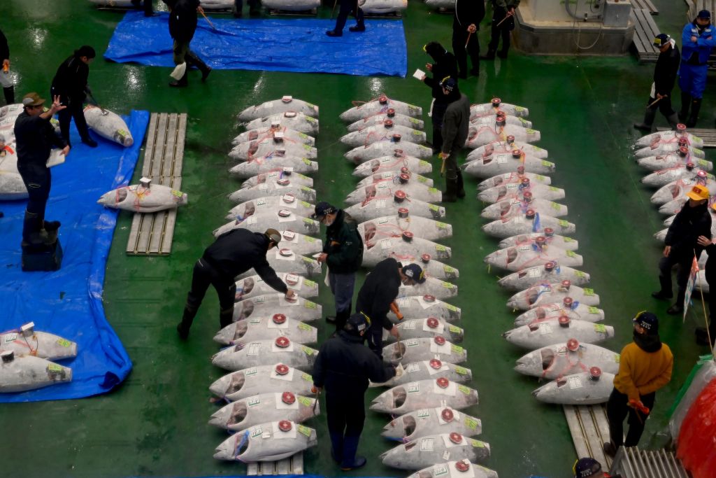 Fotó: David Mareuil/Anadolu via Getty Images