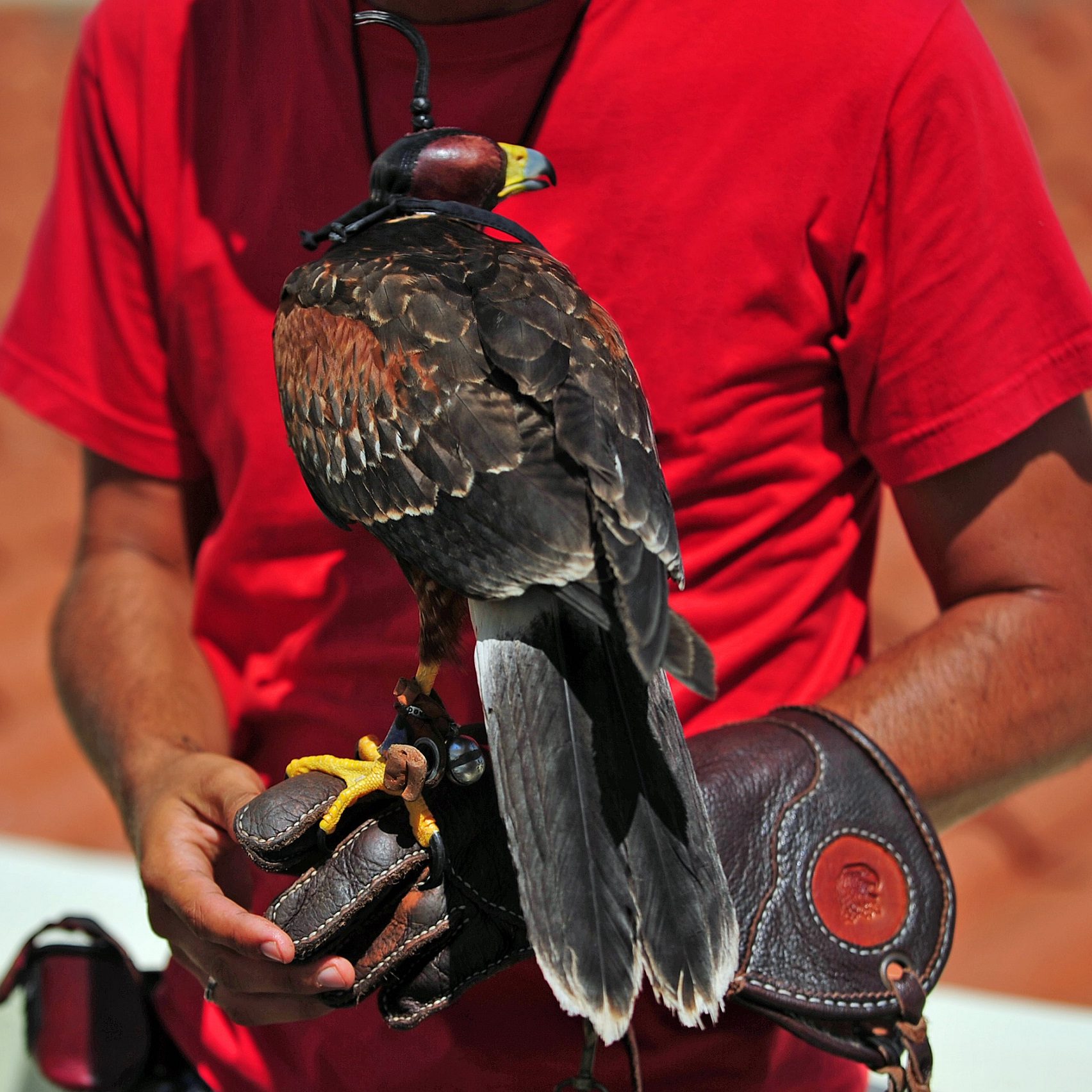 K&eacute;p: Getty Images