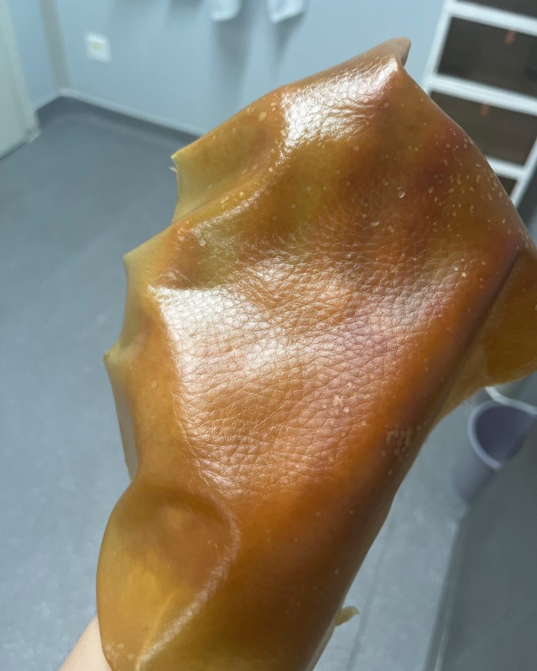 Elhinnénk, hogy bőrt látunk, pedig gombából készült (Kép: SAIT)